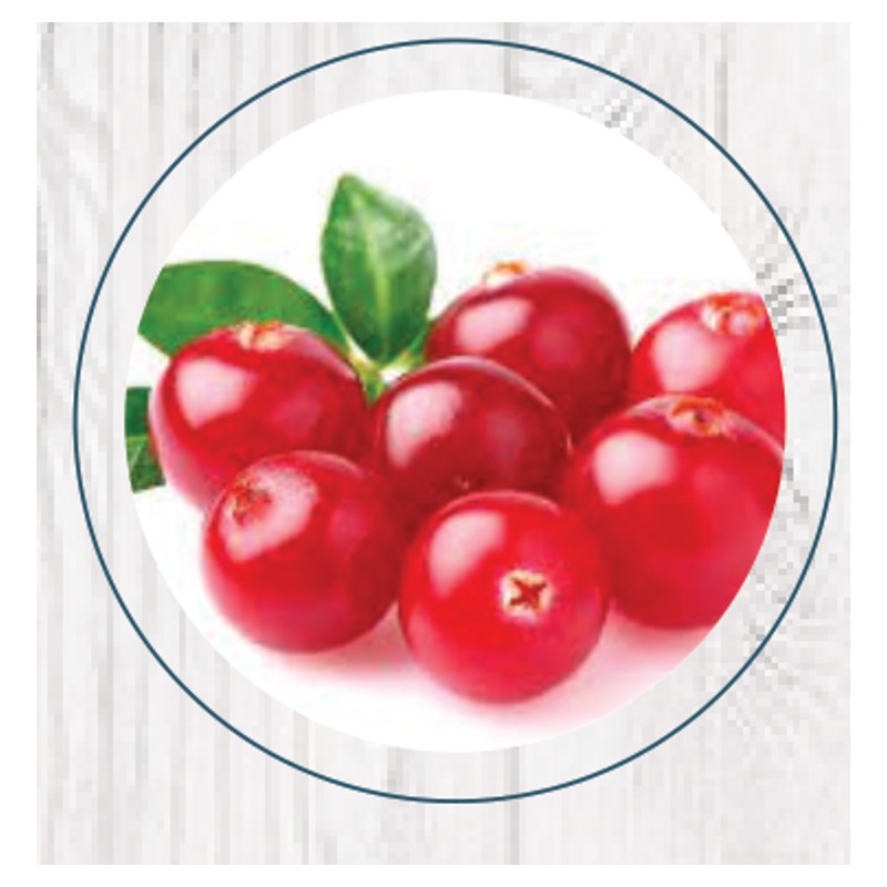 Arandanos Rojos 250gr