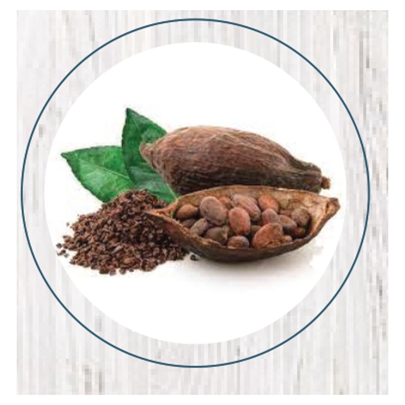 Cacao 100% 100gr