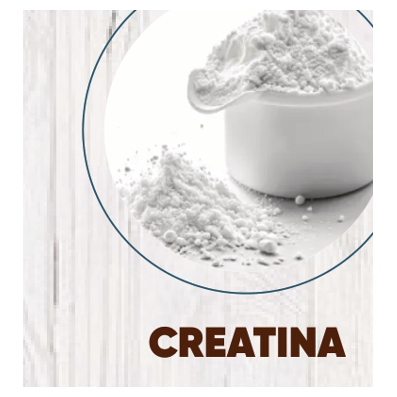 Creatina 100gr