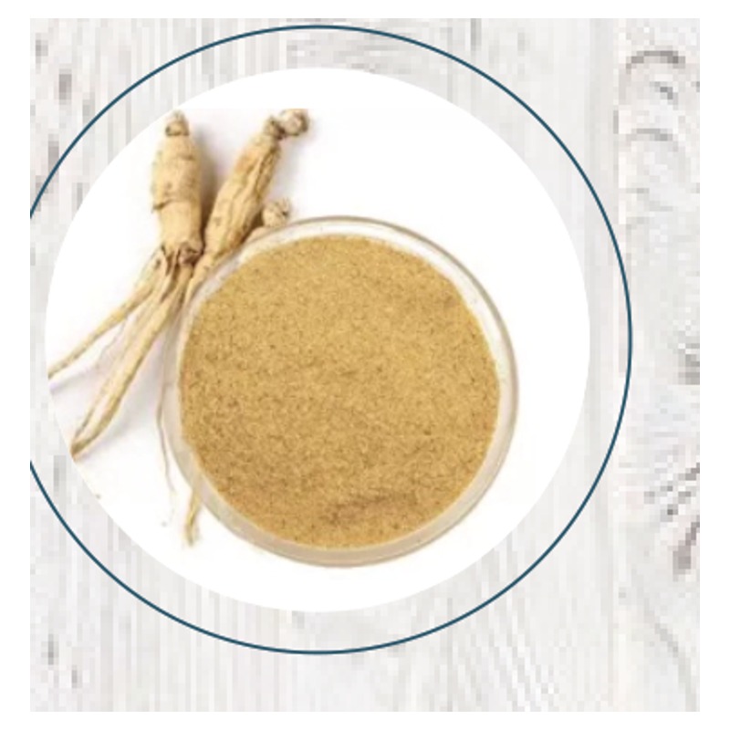 Ginseng Polvo 100gr