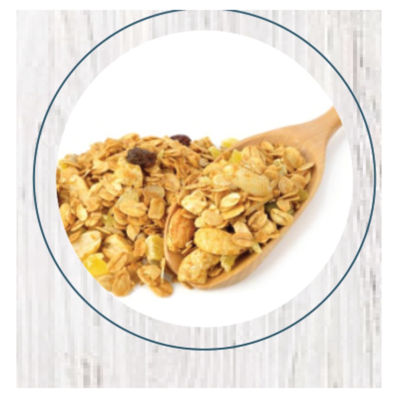 Granola Fit 250gr