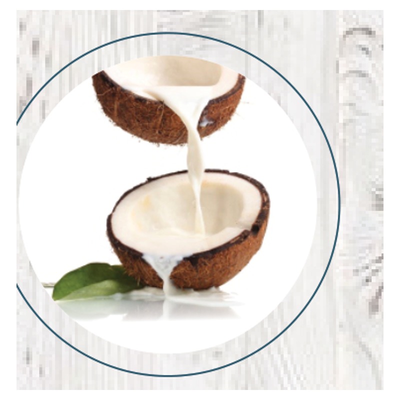 Leche de Coco 250gr